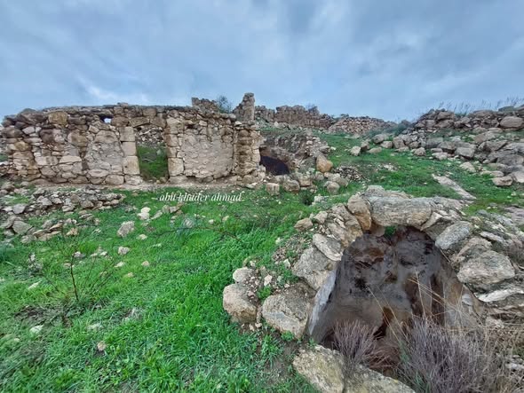 أم الشقف/ دورا- الخليل